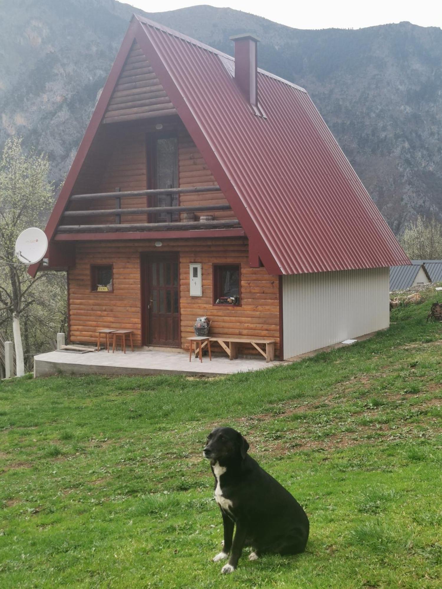 Ethno Cottage Momo Tepca Žabljak Habitación foto