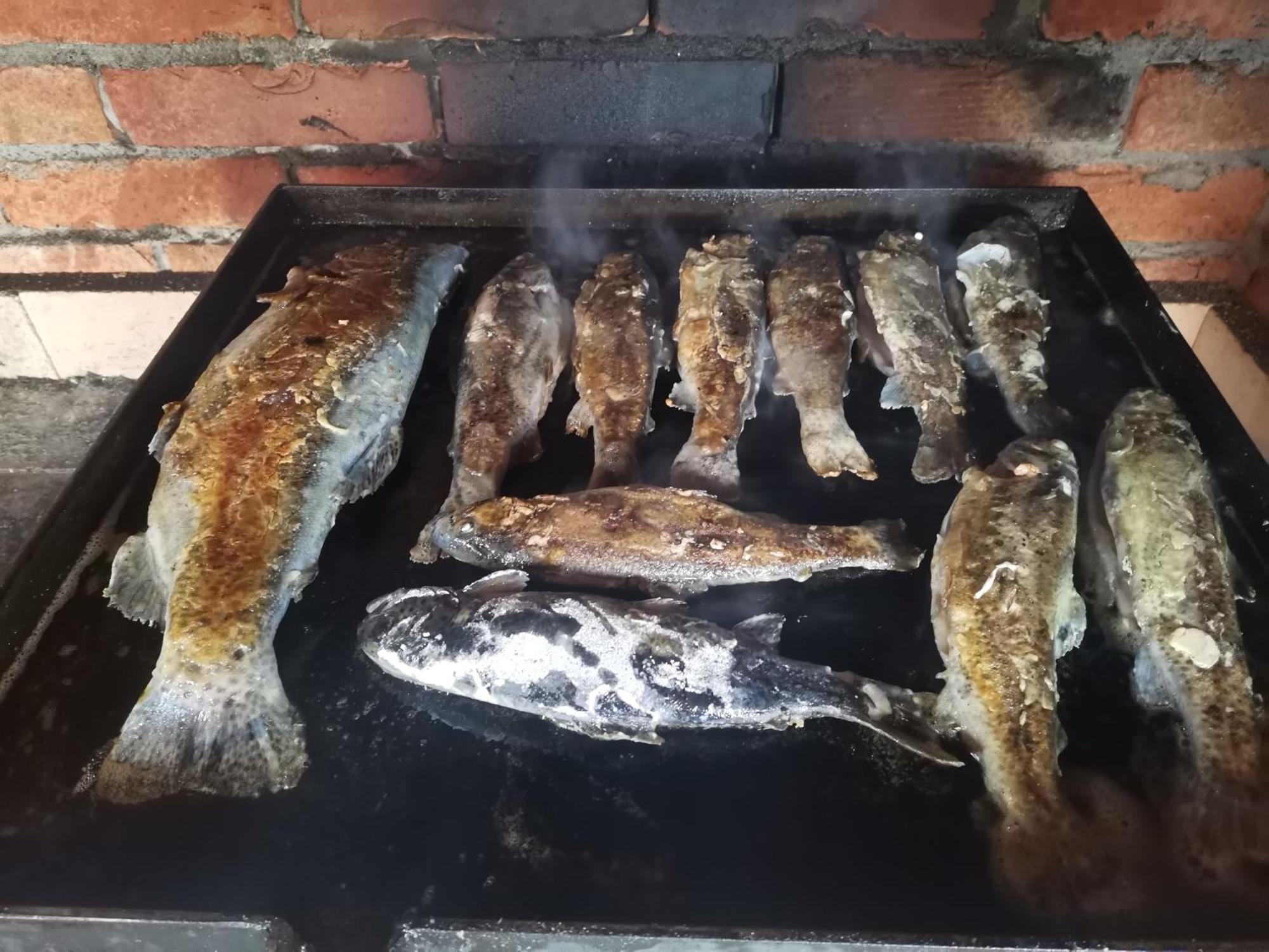 Ethno Cottage Momo Tepca Žabljak Habitación foto