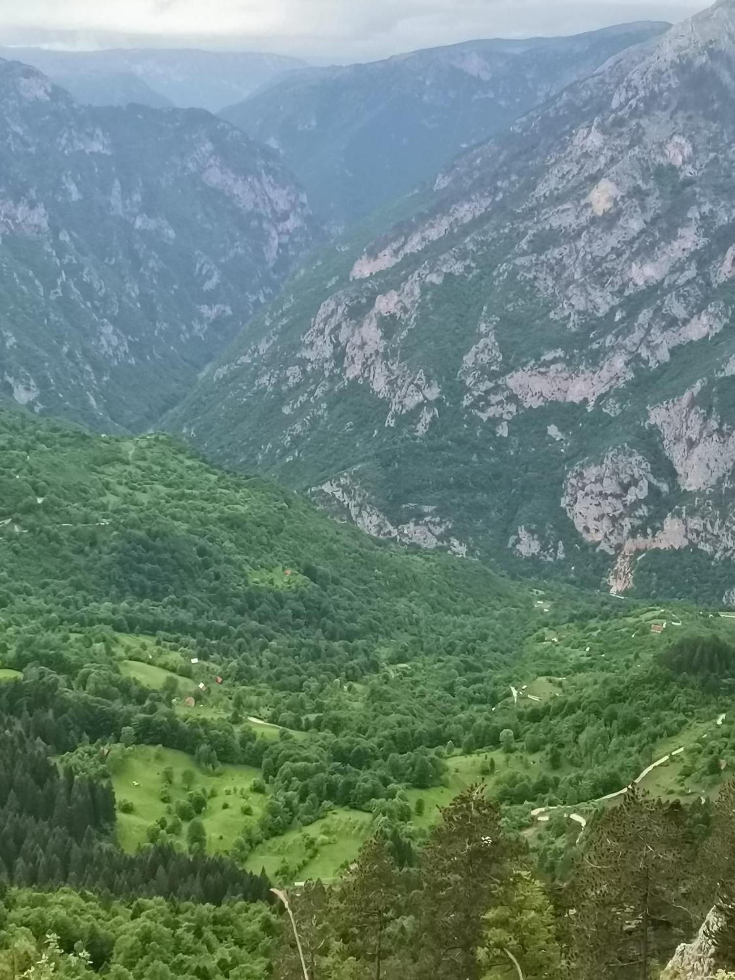 Ethno Cottage Momo Tepca Žabljak Habitación foto