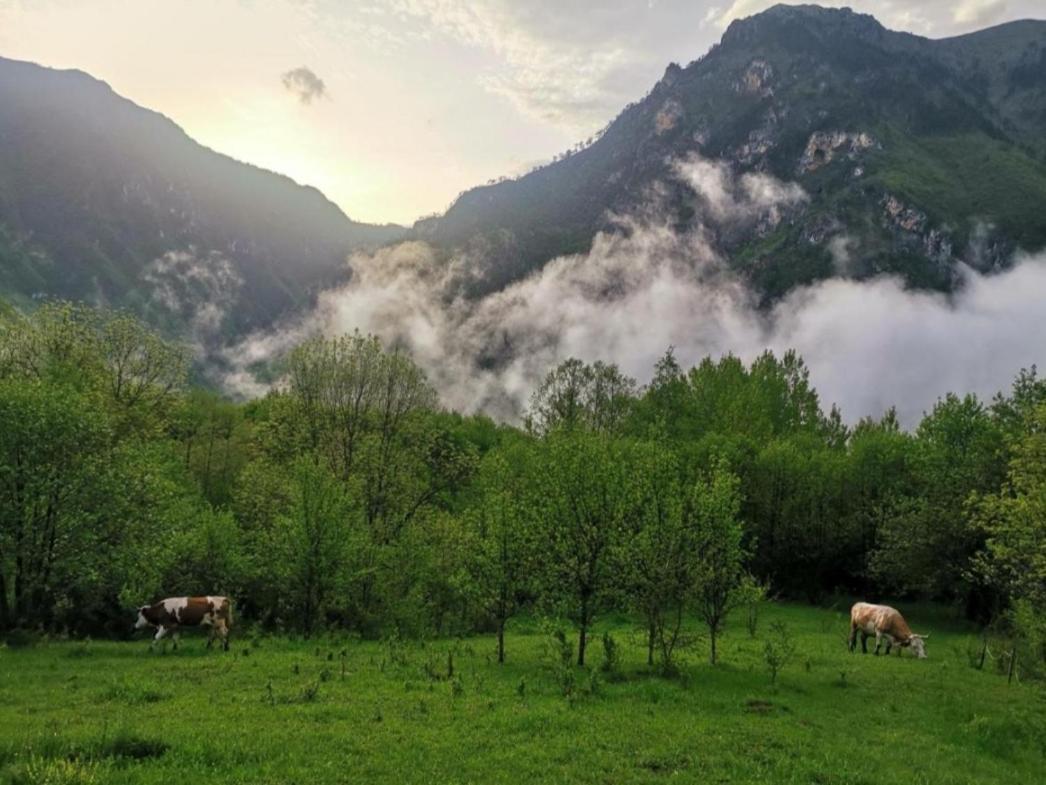 Ethno Cottage Momo Tepca Žabljak Exterior foto